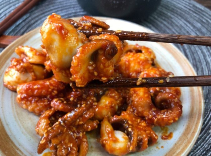 八爪魚 八爪魚
