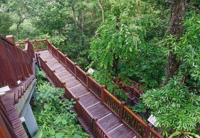 青蛙石步道 青蛙石步道