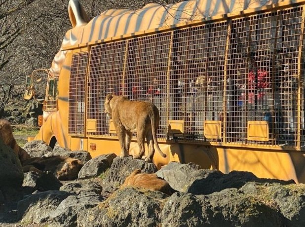 富士野生動物園 富士野生動物園