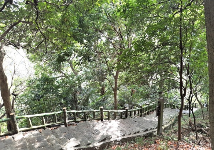貴子坑親山步道 貴子坑親山步道