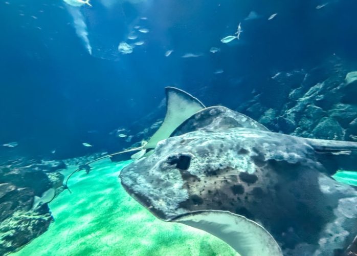 福岡水族館 福岡水族館