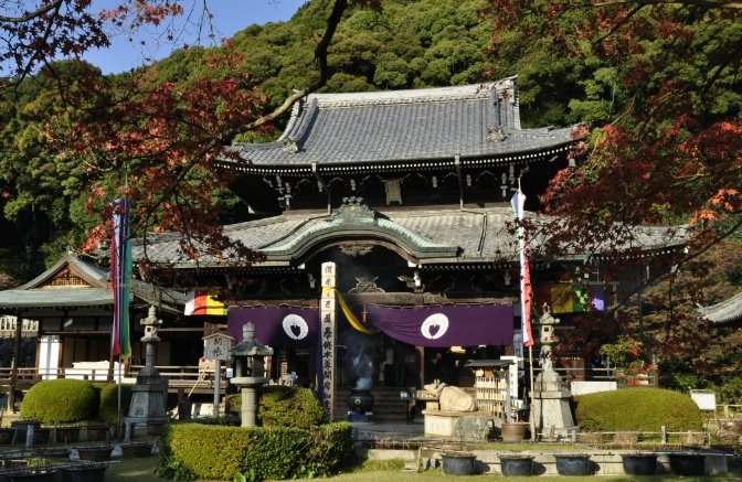 三室戶寺 三室戶寺