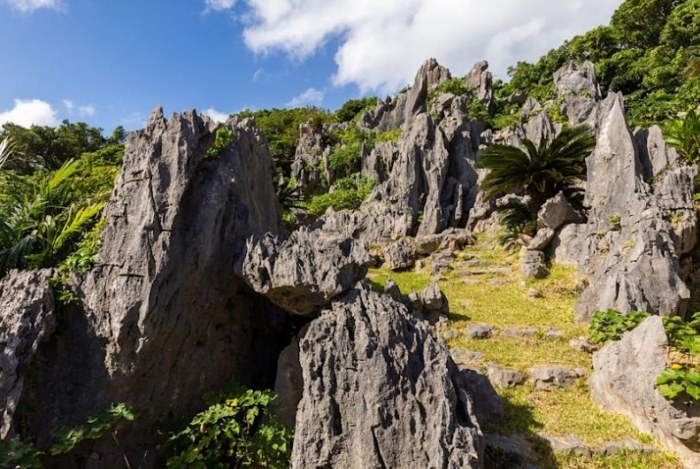 大石林山 大石林山