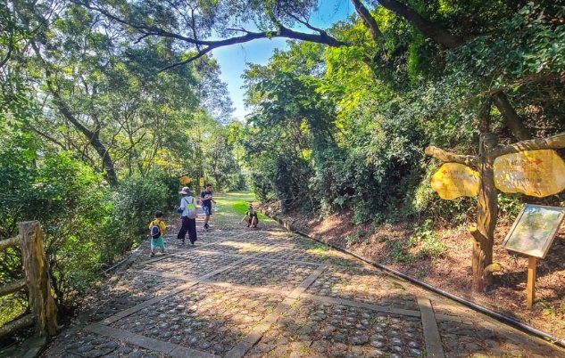 茂林賞蝶步道