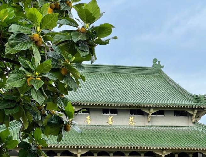 慈善寺 慈善寺