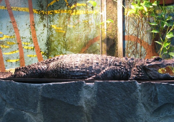 京都市動物園 京都市動物園