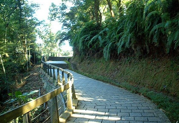 慈恩塔步道 慈恩塔步道
