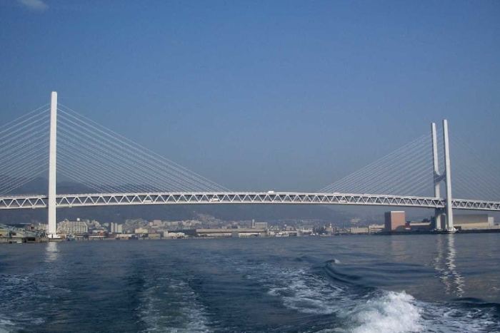 斜張橋 斜張橋