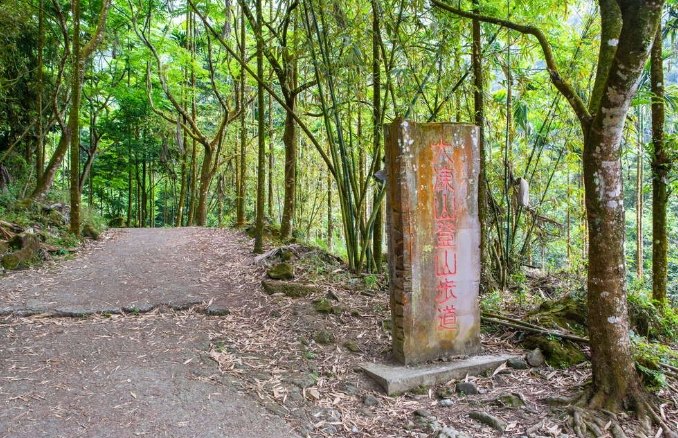 台南大凍山 台南大凍山