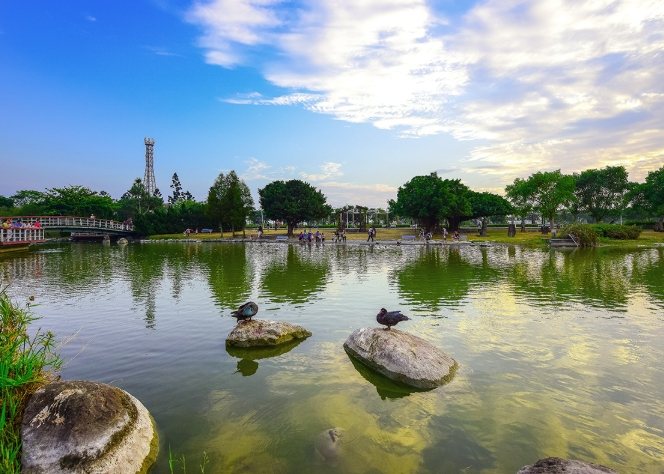 溪州公園森林區 溪州公園森林區