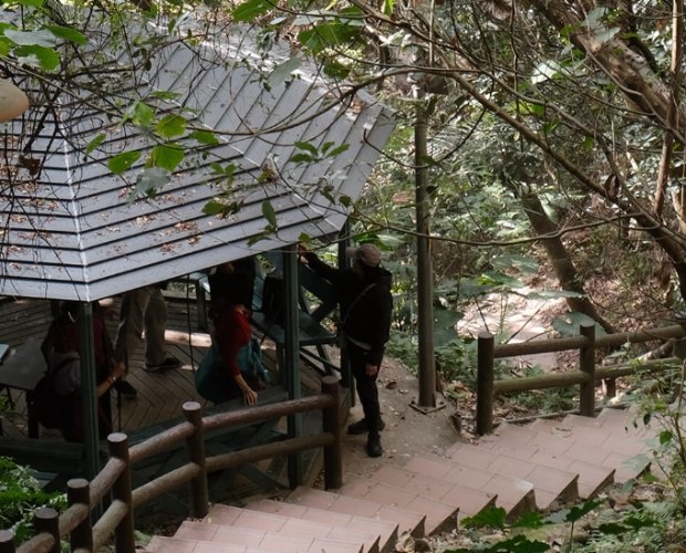 鶯歌孫龍步道 鶯歌孫龍步道