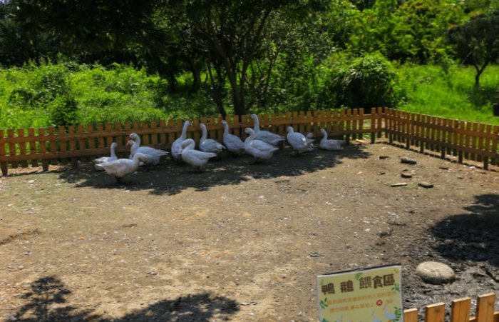 彰化親子農場 彰化親子農場