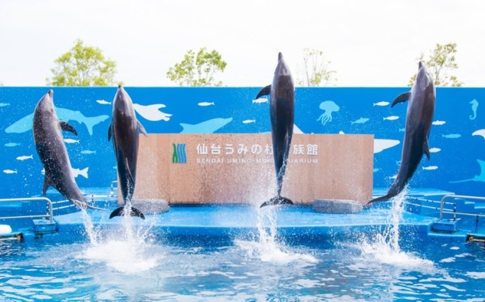 仙台水族館 仙台水族館