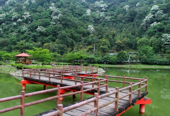 菌寶貝博物館 菌寶貝博物館
