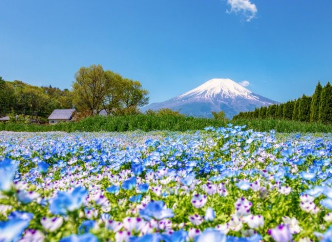 山中湖住宿 山中湖住宿