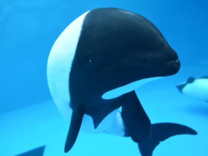 仙台水族館 仙台水族館
