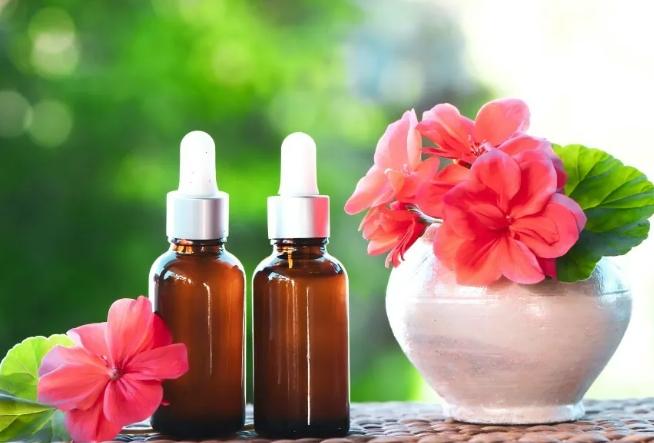 天竺葵精油功效