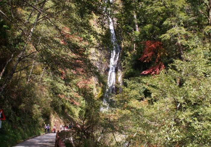 桃山瀑布步道 桃山瀑布步道