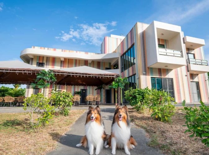 台東寵物友善住宿 台東寵物友善住宿