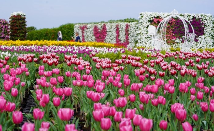 林口花市 林口花市