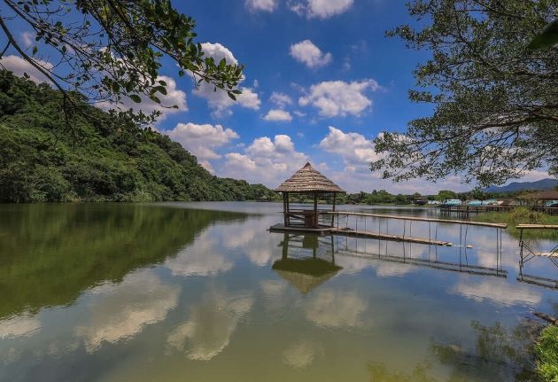 圓光寺