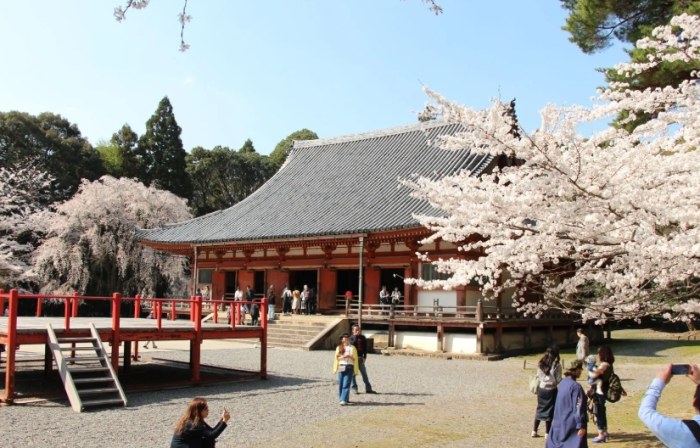 醍醐寺 醍醐寺
