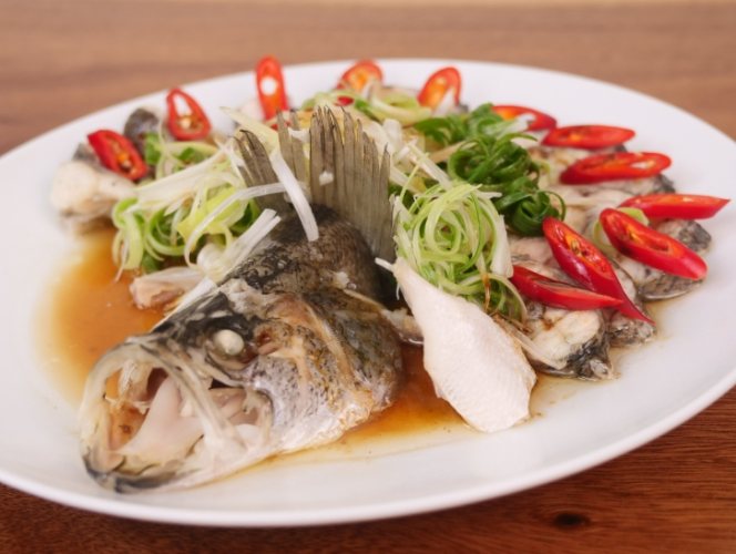 鱸魚營養 鱸魚營養