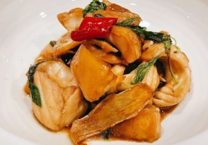 砲彈魚 砲彈魚
