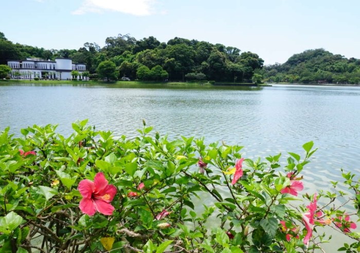 碧湖 碧湖