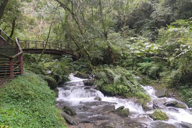 拉拉山國家森林遊樂區 拉拉山國家森林遊樂區