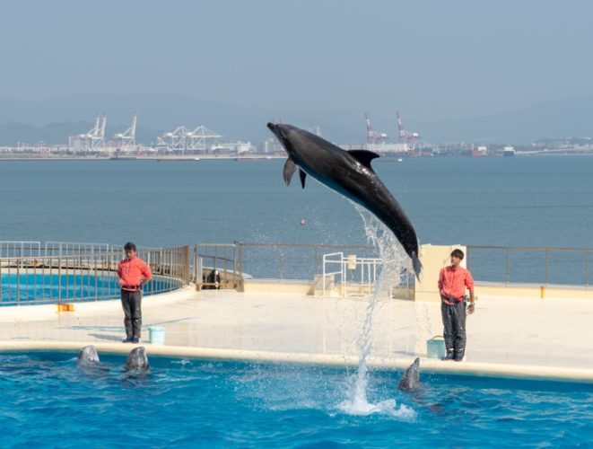 福岡水族館 福岡水族館