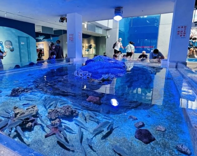 基隆水族館 基隆水族館