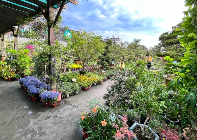 新竹花市