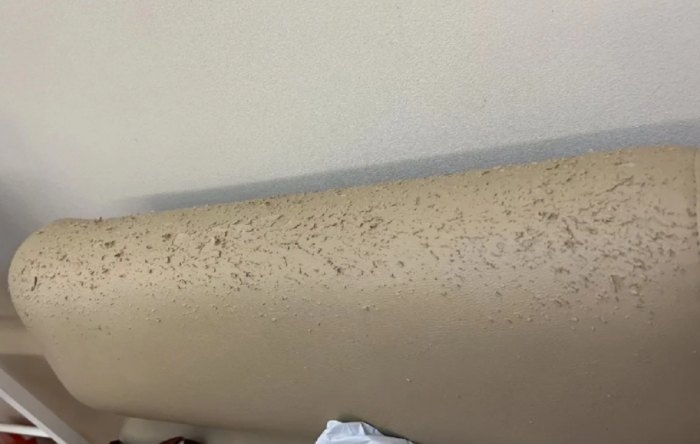 貓抓皮沙發清潔 貓抓皮沙發清潔