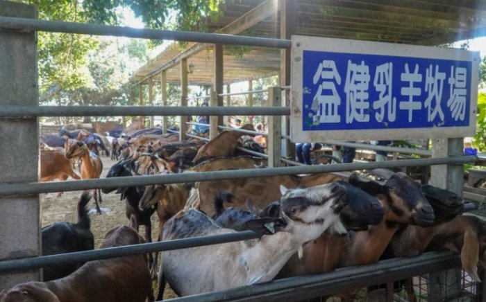 台中牧場 台中牧場