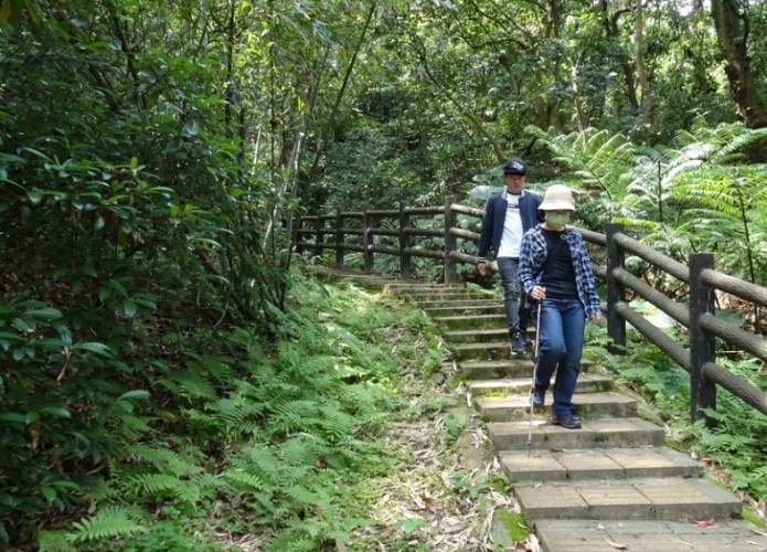 鹿廚坑步道 鹿廚坑步道