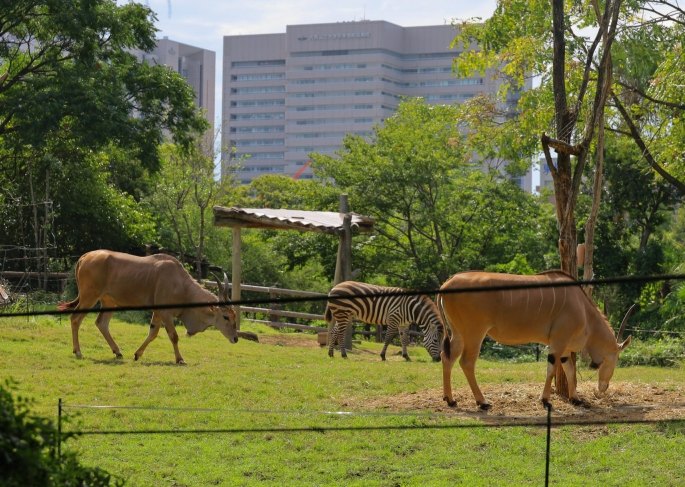 天王寺動物園 天王寺動物園