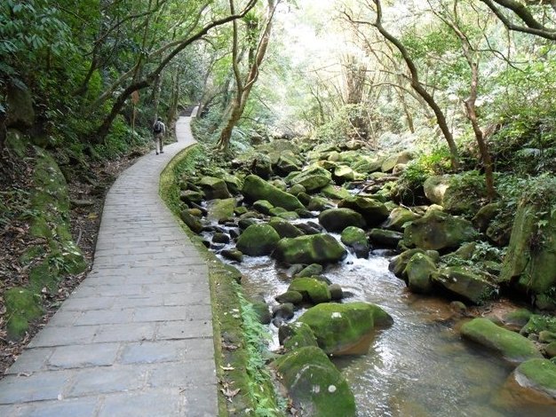 大溝溪溪畔步道 大溝溪溪畔步道