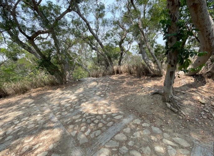 龍鳳谷森林步道 龍鳳谷森林步道