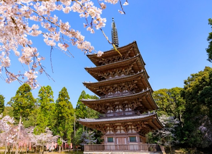 醍醐寺 醍醐寺