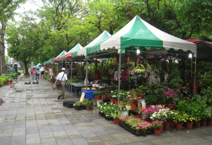 勞工公園花市
