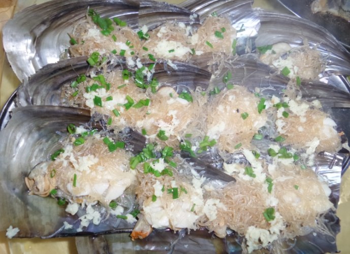 青雞魚 青雞魚