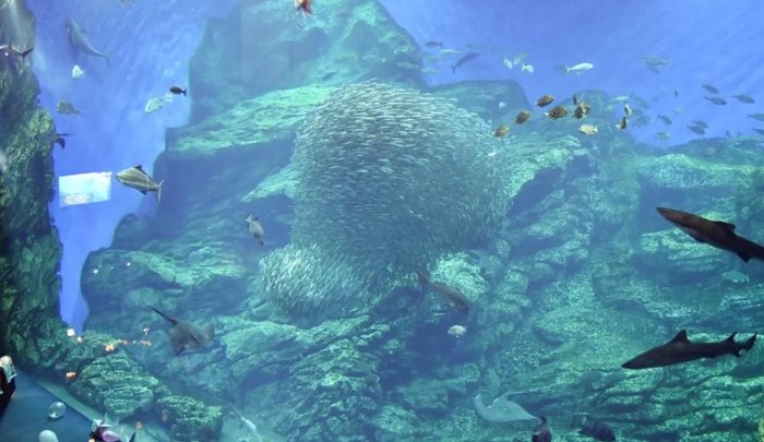 仙台水族館 仙台水族館
