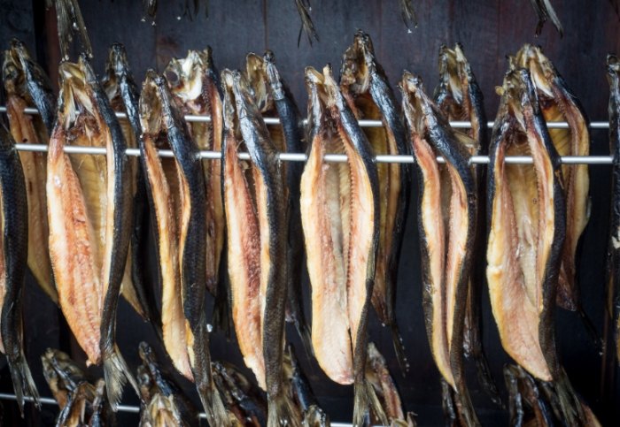 魴魚 魴魚