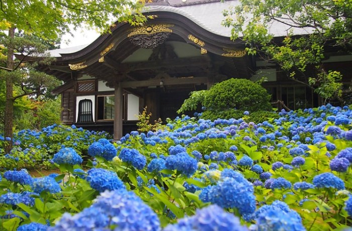 雲昌寺 雲昌寺