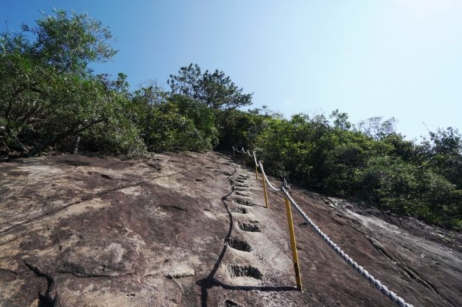 桃園登山步道 桃園登山步道