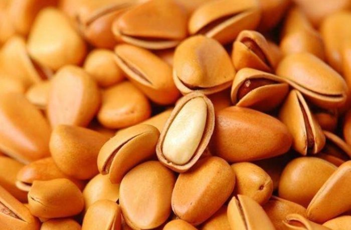 松子的功效 松子的功效