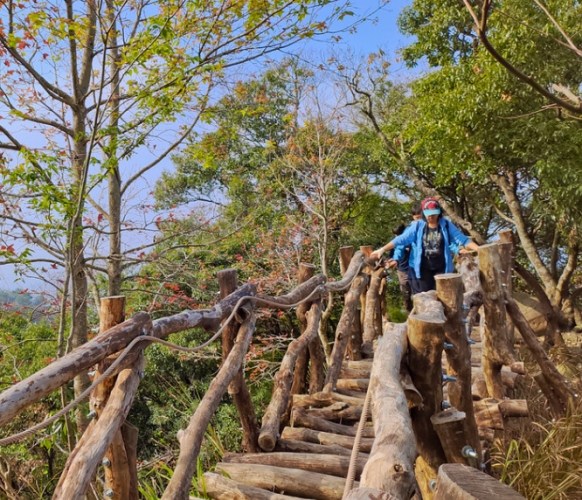 大坑二號登山步道 大坑二號登山步道