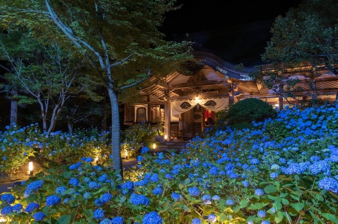 雲昌寺 雲昌寺