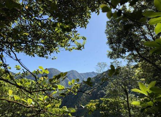 橫嶺山步道 橫嶺山步道